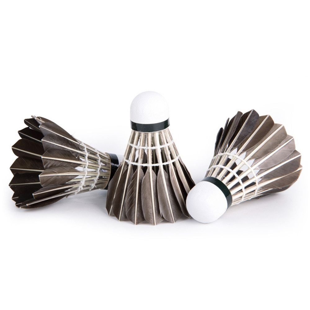 3/6/12Pcs Household Sport Trai - Badminton House reseña y precio