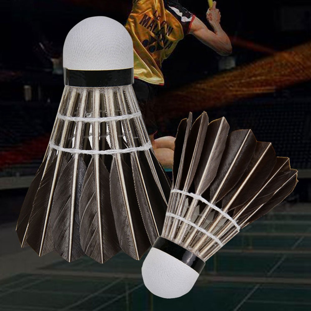 3/6/12Pcs Household Sport Trai - Badminton House reseña y precio