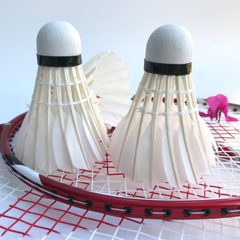 3/6/12Pcs New White Badminton  - Badminton House reseña y precio